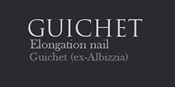 Logo de la société Guichet